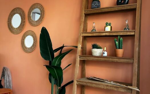 Location d’un appartement meublé de type F3 aux Mamelles