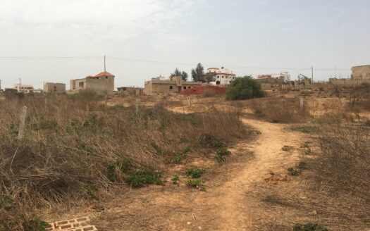 Terrain à Vendre à Yenne Nditakh