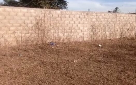 Terrain à vendre à Nianing Baobab