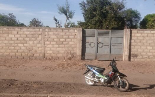 Terrain à vendre à Nianing Baobab