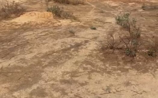 Terrain à Vendre à Yenne Nditakh