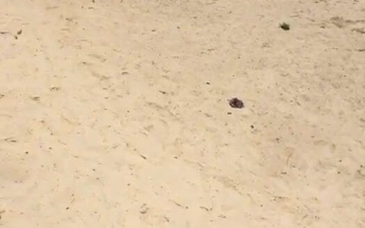 Terrain à vendre à Keur Ndiaye Lô