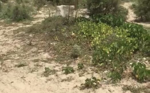 Terrain à vendre à Keur Ndiaye Lô