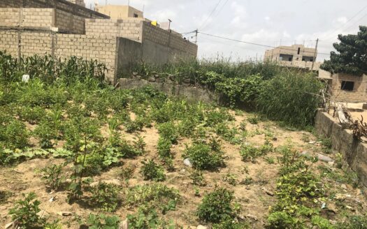 2 parcelles jumelés de 150m2 à vendre à KOUNOUNE